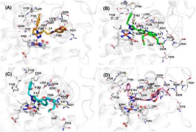 Novel 1,2,3-Triazole Erlotinib Derivatives as Potent IDO1 Inhibitors: Design, Drug-Target Interactions Prediction, Synthesis, Biological Evaluation, Molecular Docking and ADME Properties Studies